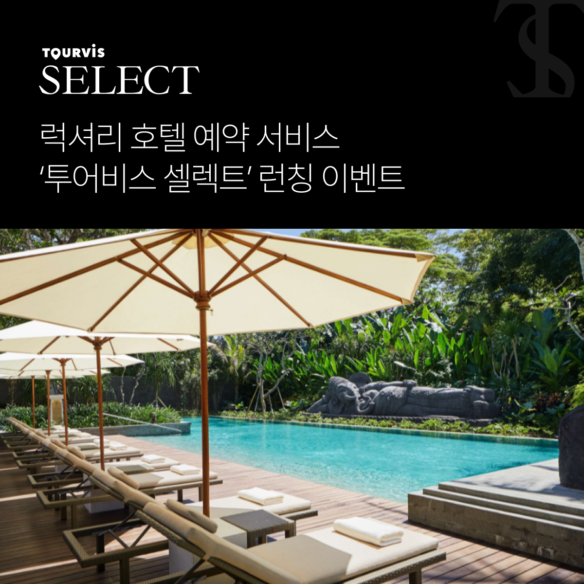 뉴스 사진
